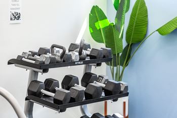 Free weights
